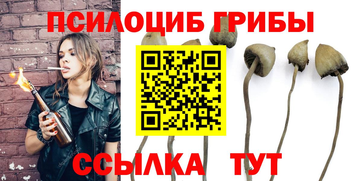 Ижевск  Галлюциногенные грибы Magic Shrooms  Вход с VPN  Псилоцибиновые грибы мицелий 