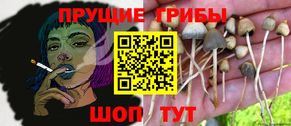 Галлюциногенные грибы Magic Shrooms Ижевск